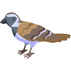 Isometric illustration of a small brown bird with grey and white markings standing on a transparent background facing left with detailed feathers and a stylized geometric design