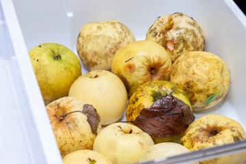 fridge compartment with apples