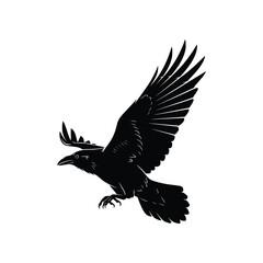 Raven Crow Bird in Flight Vector Illustration