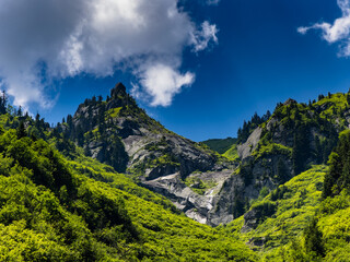 in the shadow of the mountains