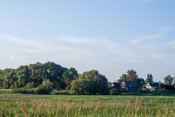 A serene countryside scene featuring a homestead nestled amidst lush trees and corn crops under a...
