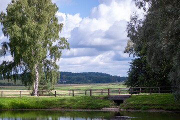 Obraz premium A serene rural scene featuring a small wooden bridge over water and lush green fields extending into the distance, flanked by tall leafy trees.