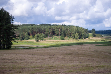 Aerial view of meadows and forests bathed in sunlight with puffy clouds.