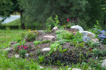 A serene rock garden featuring a variety of plants and colorful flowers