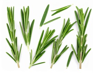 Obraz premium ** High-quality image of fresh rosemary sprigs, perfect for culinary, herbal, and aromatherapy projects. **