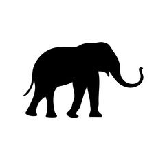 Silhouette of an African Elephant with Long Trunk Against White Background