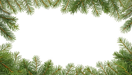 Vibrant green Christmas fir tree branches forming a natural rectangular frame border isolated on a pure white background with copy space