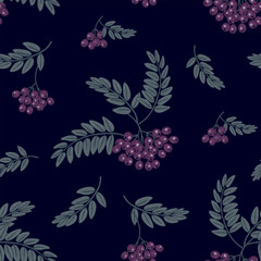 Navy blue pattern. Seamless Rowan berries background. Vector