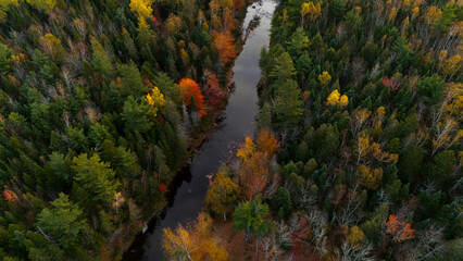 Autumn in New Brunswick, Canada. 