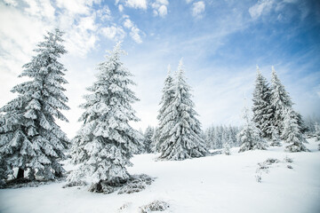 beautiful snow covered mountain landscape in winter