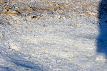 Close-up of salt crystals on a surface, creating a textured pattern. Salt deposit on surface