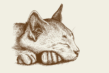 Hand Drawn Cat Animal Pointillism