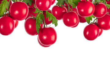 Horizontal border of ripe fresh red tomatoes bunch on vine with green leaves, isolated on a transparent background. Perfect for culinary, healthy food, and organic farm concepts.