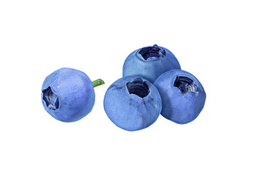 Blueberries on isolated transparent background for design. Ripe fresh juicy blue berries for cooking