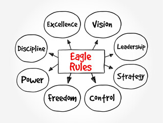 Eagle Rules - principles or behaviors that reflect the power, focus, and vision of an eagle, text concept mind map