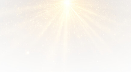 Shine sun sunlight light effect beam star sun sunlight ray shiny	