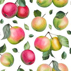 Hand drawn seamless pattern with ripe apples and leaves. Watercolor illustration.