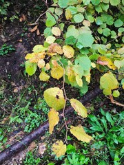 Beautiful nature photos