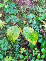 Beautiful nature photos