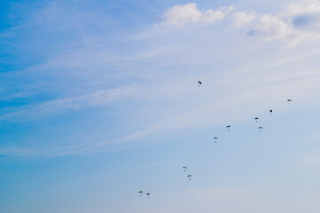 Parachutists descending in a clear blue sky with clouds.