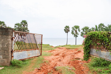 Gateway to beach. Palm trees and the tropical landscape of summer scenery.