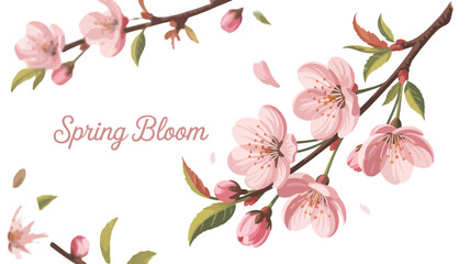 Cherry blossom branch with pink flowers spring bloom illustration floral design element for cards and invitations isolated on white background