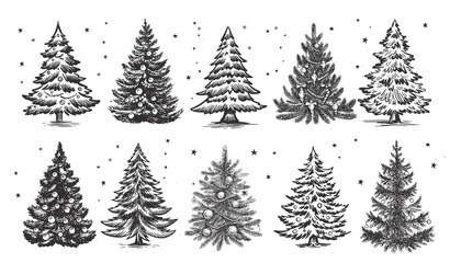 Christmas tree set on white. Hand drawn illustration. 
