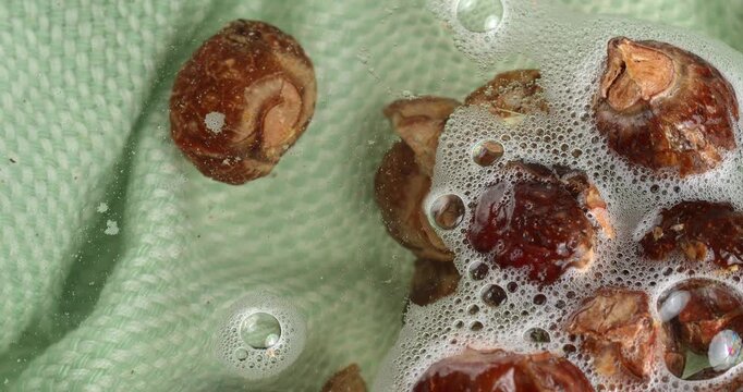 Soap nuts floating in water with bubbles. Close-up footage of the rotating table.