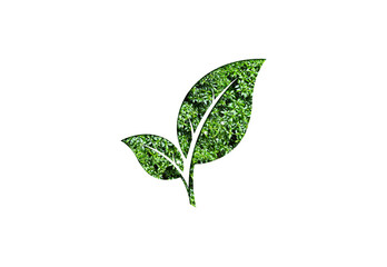 Recycle symbol. Ecosystem Restoration, environment day concept 3d tree background. 