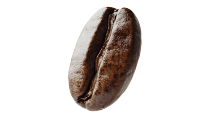 Roasted Coffee Bean Isolated Aromatic Dark Brown Seed for Brews Espresso  Energy on transparent background