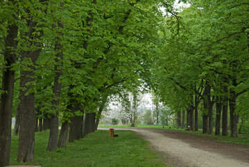 028779 - 91 -.jpg