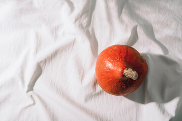 Orange pumpkin on white crumpled fabric background with sunlight and shadows. Minimal autumn still life. Thanksgiving concept