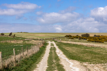Fototapeta premium A chalk pathway in the South Downs, on a sunny spring day