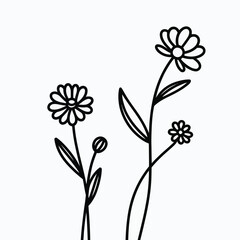 Vector illustration of delicate line art flowers ideal for scalable graphic design projects eps format silhouette vector illustration white background