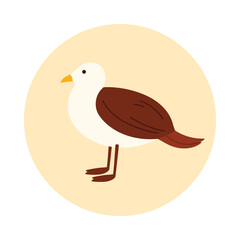 Minimal turkey bird icon in a round isolated background for web or educational use vector illustration