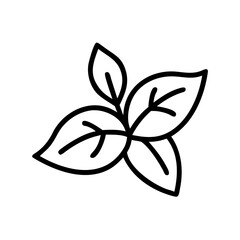 Culinary Basil Illustration