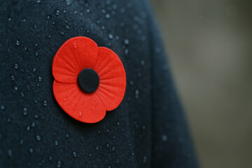 Red poppy symbolizing Armistice Remembrance Day on wet dark fabric