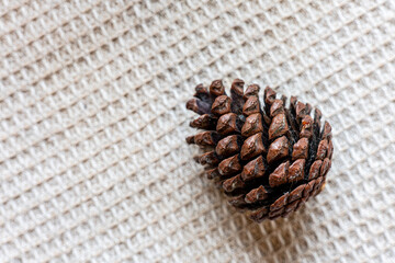 Pine cone on the woven fablic white mat. Copy Space.
