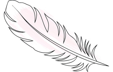 Continous line drawing a single feather with  watercolor texture Single line bird