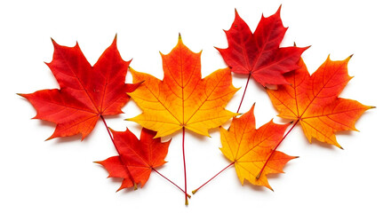 Fototapeta premium Autumn Leaves, Generative Ai