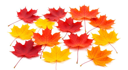 Fototapeta premium Autumn Leaves, Generative Ai