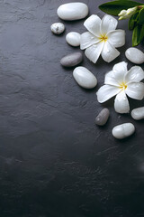 Beautiful white flowers and smooth stones arranged artistically on a dark surface for a calming and serene atmosphere