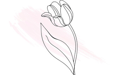 Minimalist continuous line drawing a single tulip with  brush stroke Single line flower