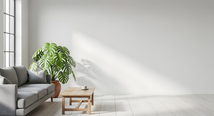 Minimalist living room with sofa, coffee table, and a large green plant casting shadows on a white wall
