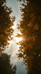 Autumn Radiance