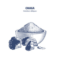 Hand drawn vector illustration of a bowl with powder and pieces of chaga mushroom in line art style