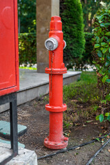 Fire hydrant located near a red storage unit in a green park during daytime
