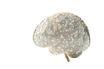 Sparkling white flower bud with stem isolated on transparent background.