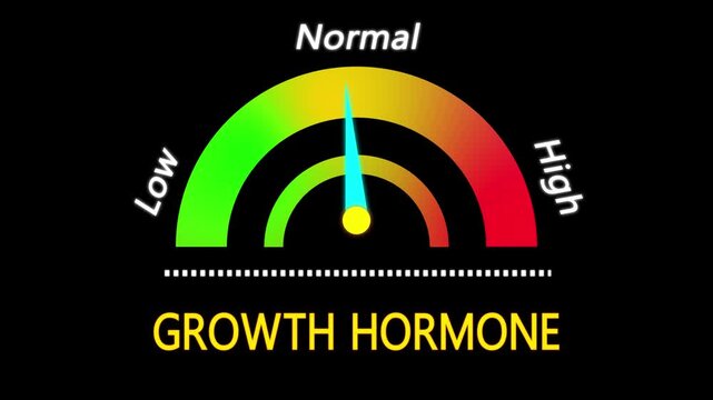 animated grown hormone level meter indicator. low hormone and hormone deficiency awareness medical concept