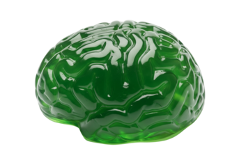 Vibrant Green Gelatin Brain Isolated on White - Symbolizing Ideas, Creativity, and Halloween Fun